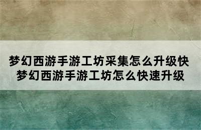 梦幻西游手游工坊采集怎么升级快 梦幻西游手游工坊怎么快速升级